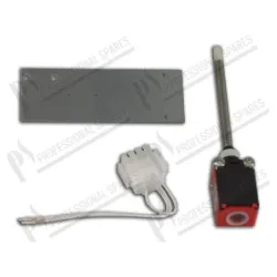 Microinterruptor