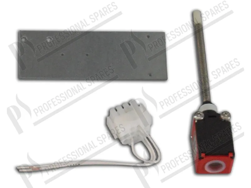 Microinterruptor