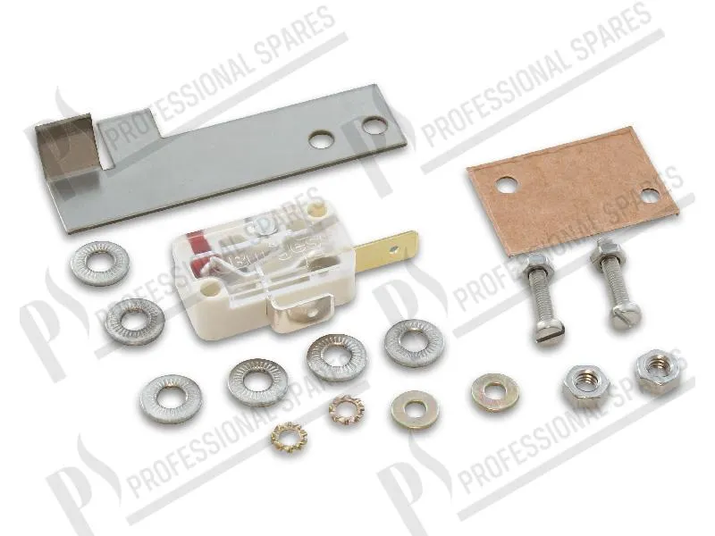 Microinterruptor