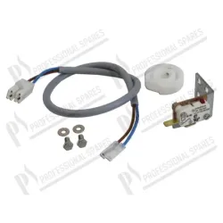 Microinterruptor