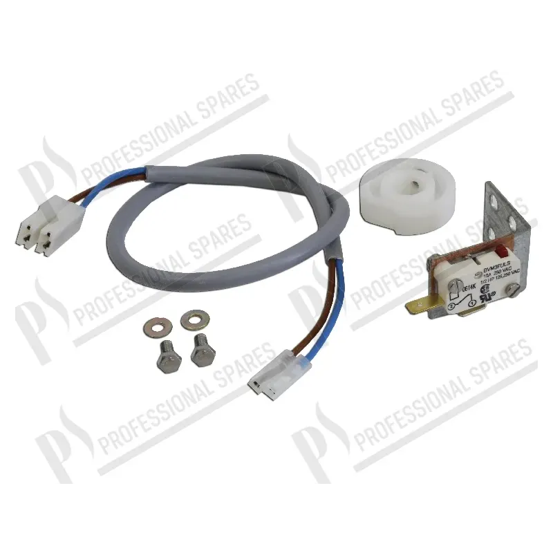 Microinterruptor