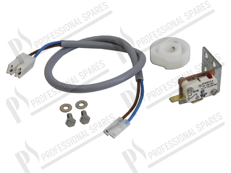 Microinterruptor