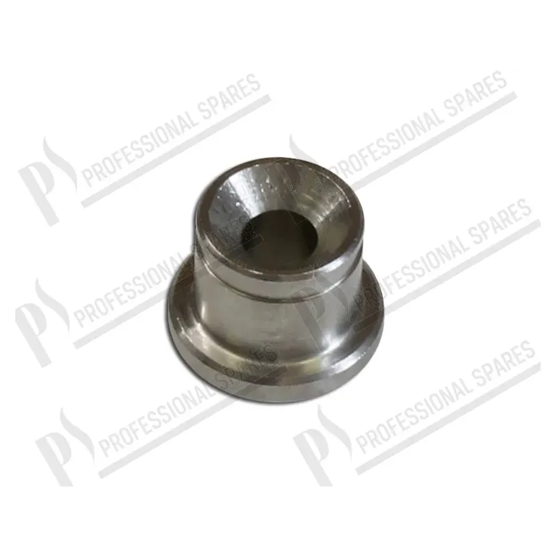 Bushing for spring