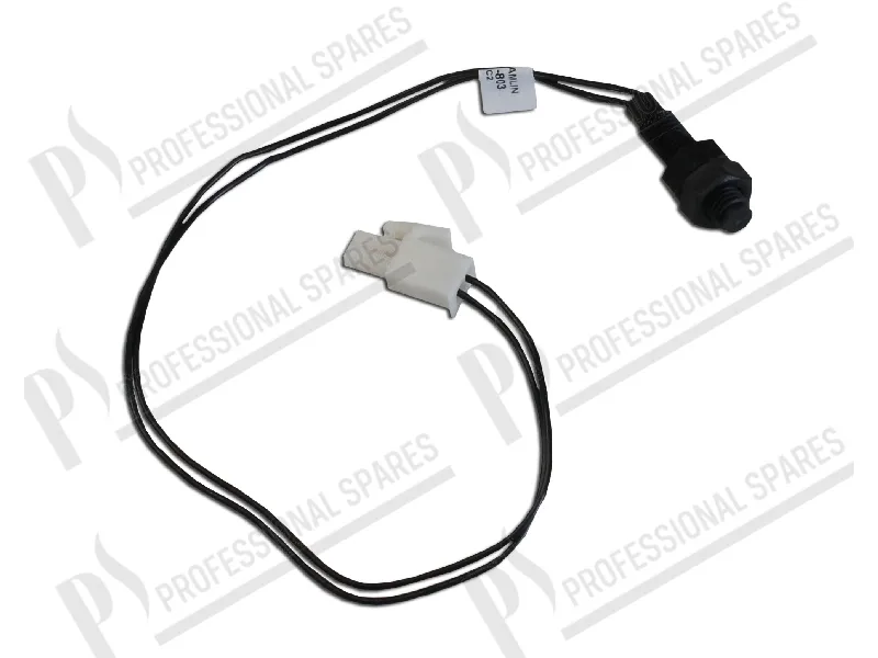 Microinterruttore