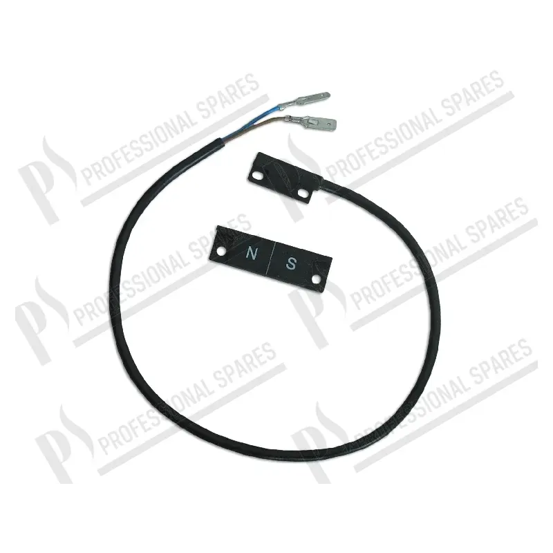 Microinterruptor 250V
