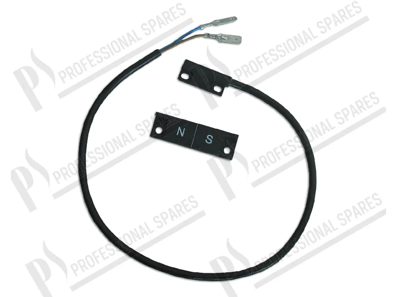 Microinterruptor 250V