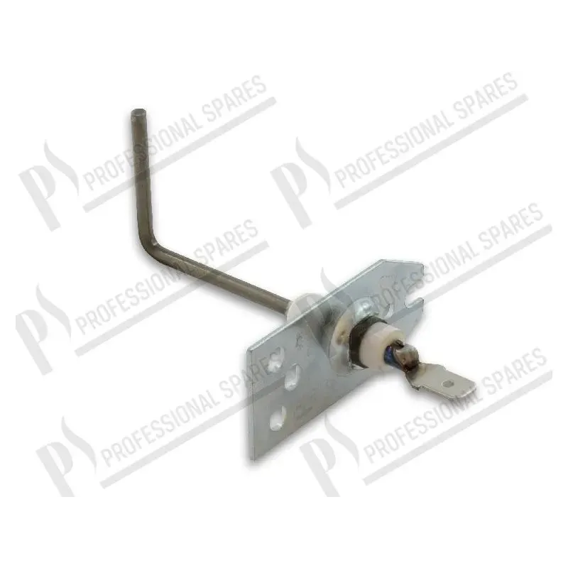 Electrode ionisation