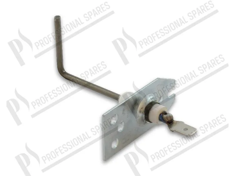 Electrode ionisation