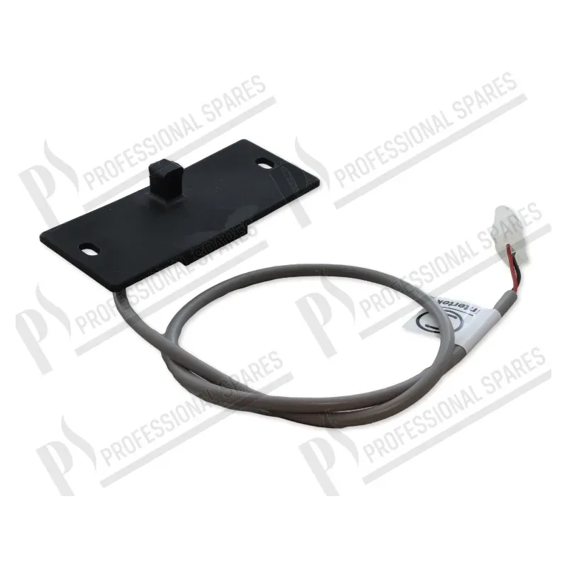 Magnetic microswitch