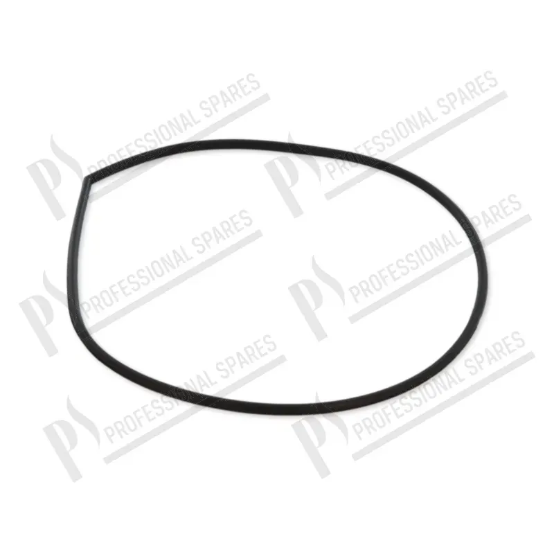 O-ring pumpengehäuse