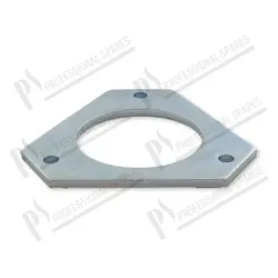 Brida triangular