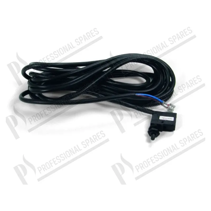 Microinterruptor