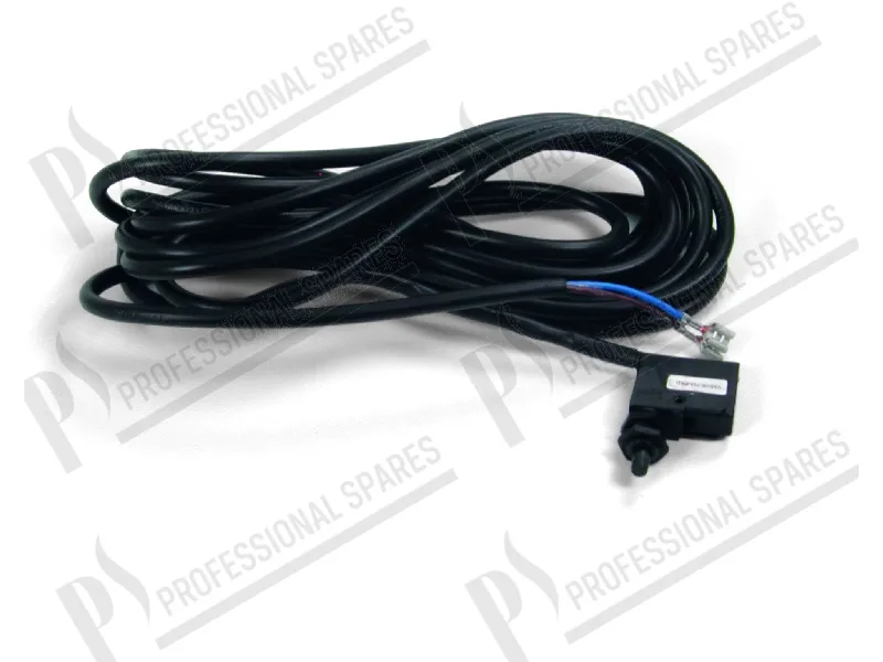 Microinterruptor