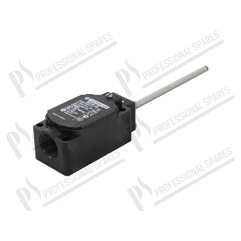 Microinterruttore
