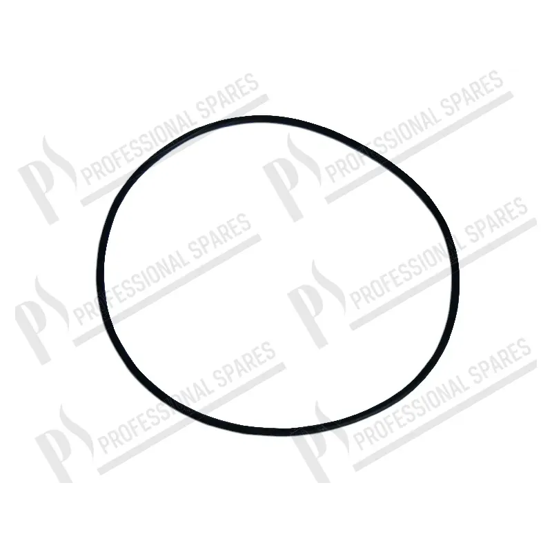 O-ring for pump