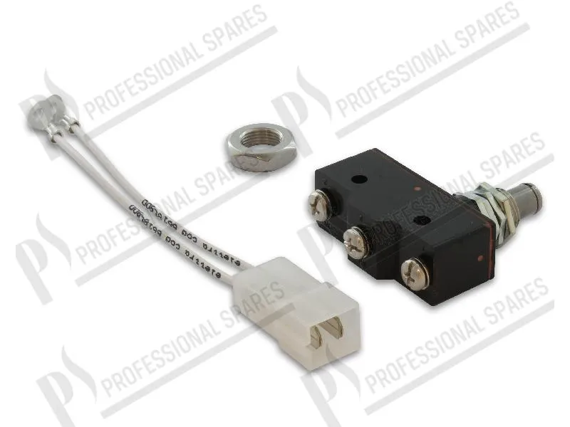 Door microswitch