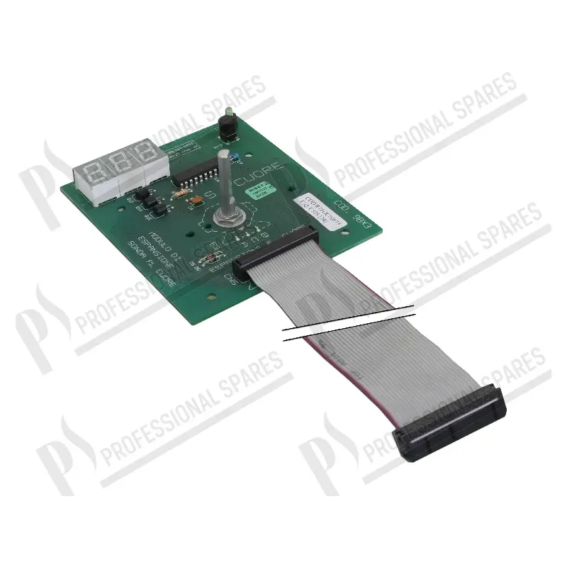 Placa electronica