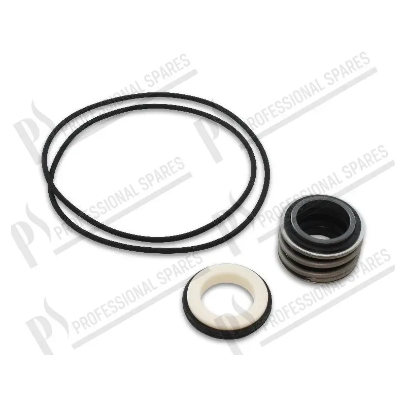 Pump gaskets (Kit)